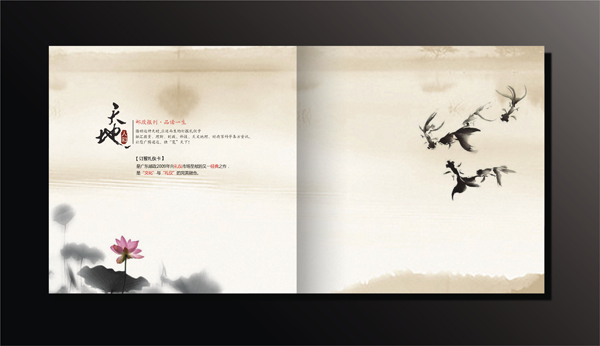 中國郵政集團公司 廣告宣傳設計